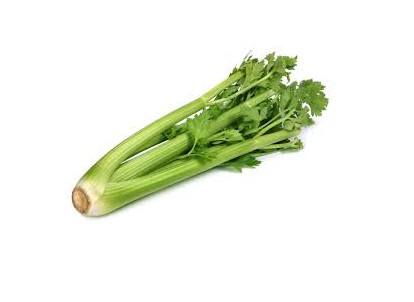 CELERY