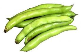 BROAD BEANS