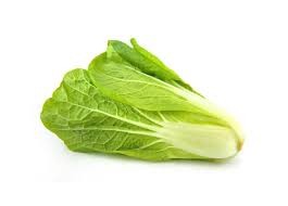 LETTUCE
